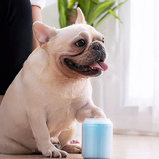 Lave patte chien