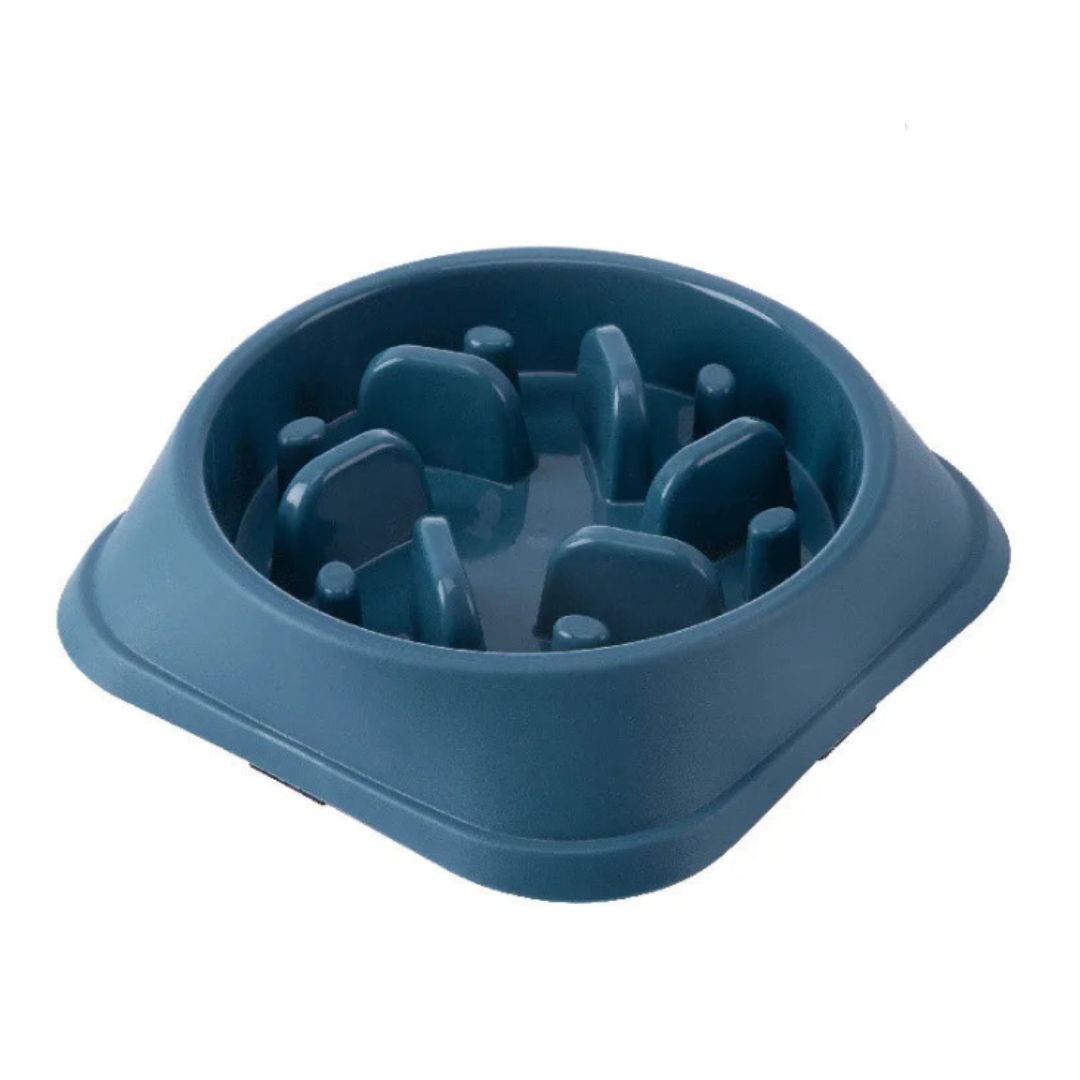 Gamelle anti-glouton | Slow-Bowl™