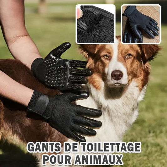 Hair - Gloves ™/Gants pour poils morts - Chien Précieux