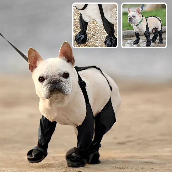 Bottes pour chiens | Dog-Boots™