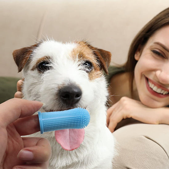 Brosse a dent chien