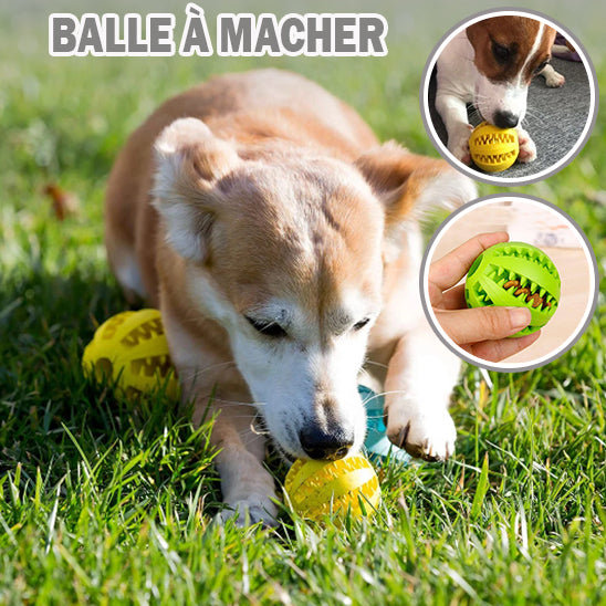 Balle pour chien | Foodie-ball™