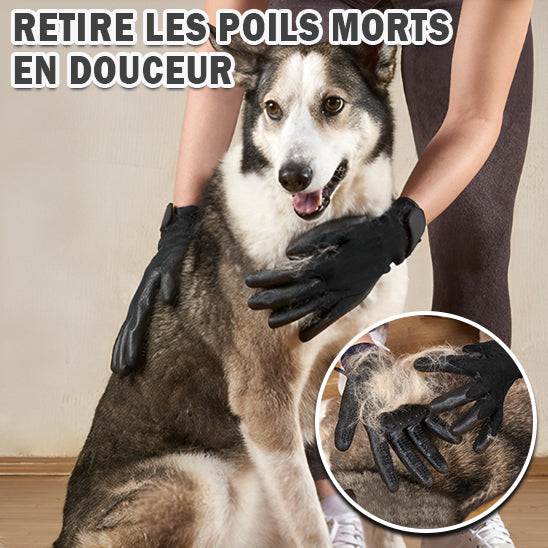 Gant de toilettage | Hair-Gloves ™