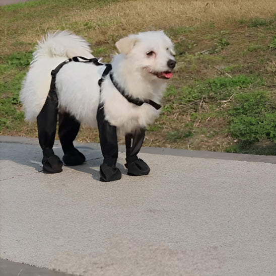 Bottes pour chiens | Dog-Boots™