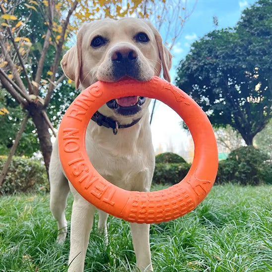 Jouet pour chien | Anneau
