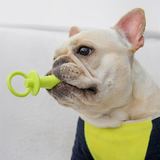 Jouet pour chien |  Mâchouille-Dents ™