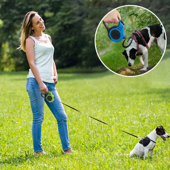 Laisse pour chien