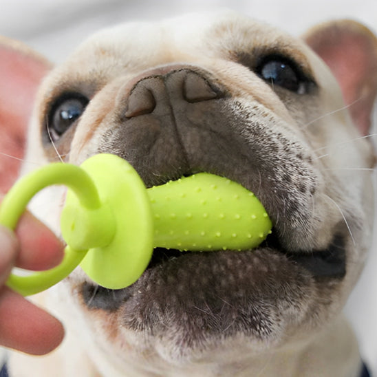 Jouet pour chien |  Mâchouille-Dents ™
