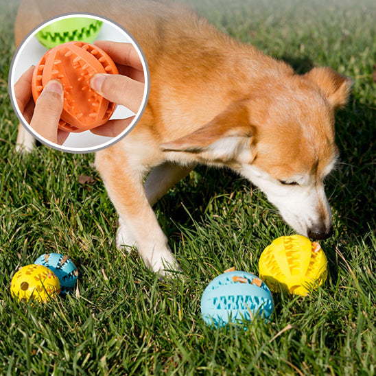 Balle pour chien | Foodie-ball™