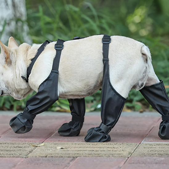 Bottes pour chiens | Dog-Boots™