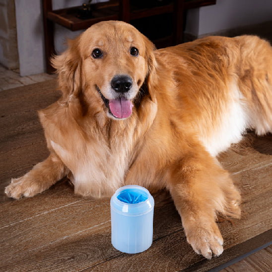 Lave patte chien
