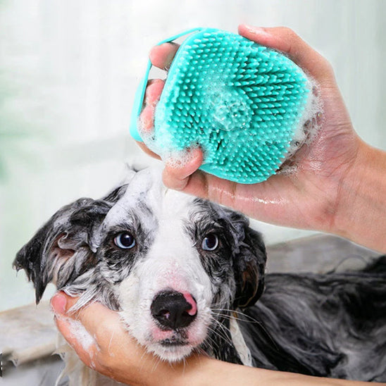 Brosse pour chien | De bain