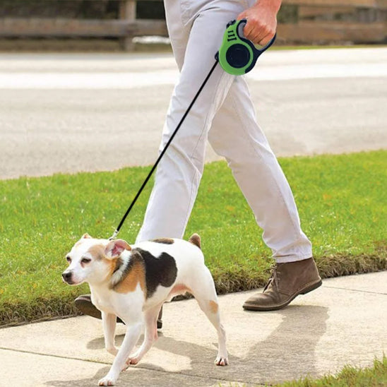 Laisse pour chien