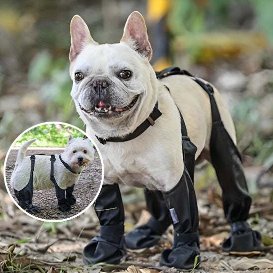 Bottes pour chiens | Dog-Boots™