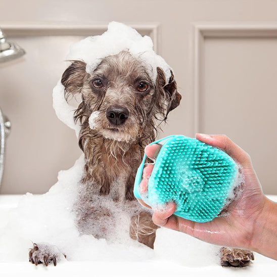 Brosse pour chien | De bain