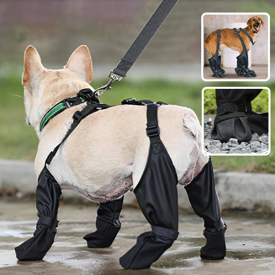 Bottes pour chiens | Dog-Boots™