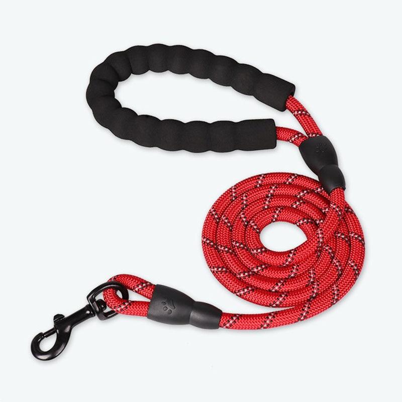 Laisse corde chien 