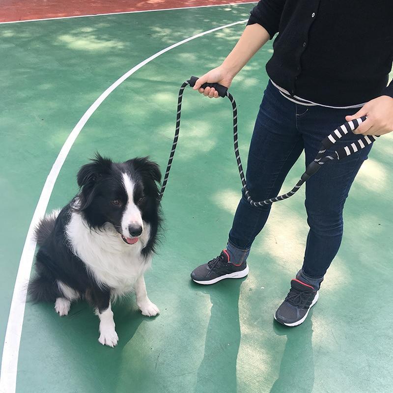 LaisseEduc™ - Corde en Nylon pour chien | Chien - Chien Précieux