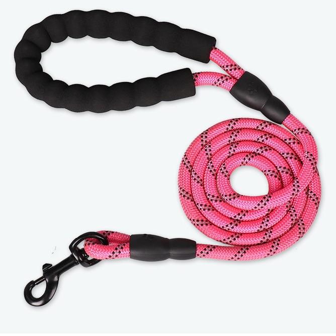 laisse corde chien