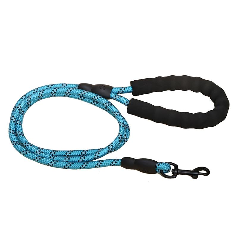 laisse corde chien