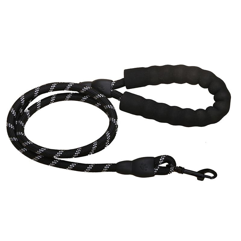 laisse corde chien